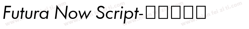 Futura Now Script字体转换